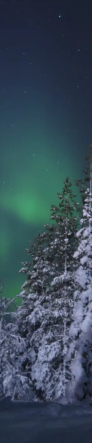 Nordlichter sehen im Pallas-Yllästunturi-Nationalpark